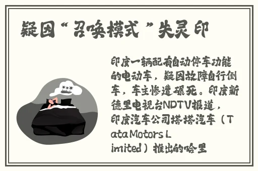 4虎换哪个网名了